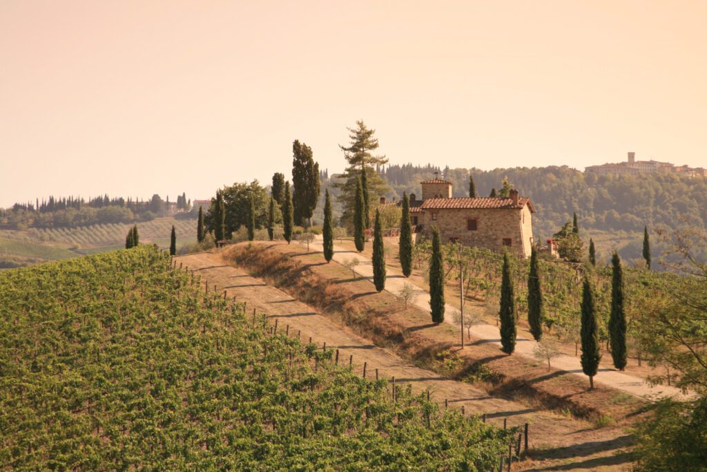 A picturesque Tuscan countryside scene with a stone farmhouse surrounded by cypress trees and rolling vineyards. This serene setting reflects the potential for vacation rental properties to enhance guest experiences, showcasing how RemoteLock's access control solutions simplify property management for short-term rentals in unique locations.